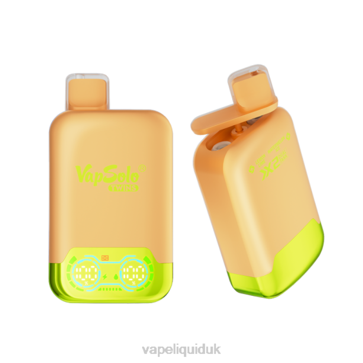 Vape Flavors UK - Vapsolo TWINS Disposable Vape Lemone Lime & Watermelon Ice LJXZ141
