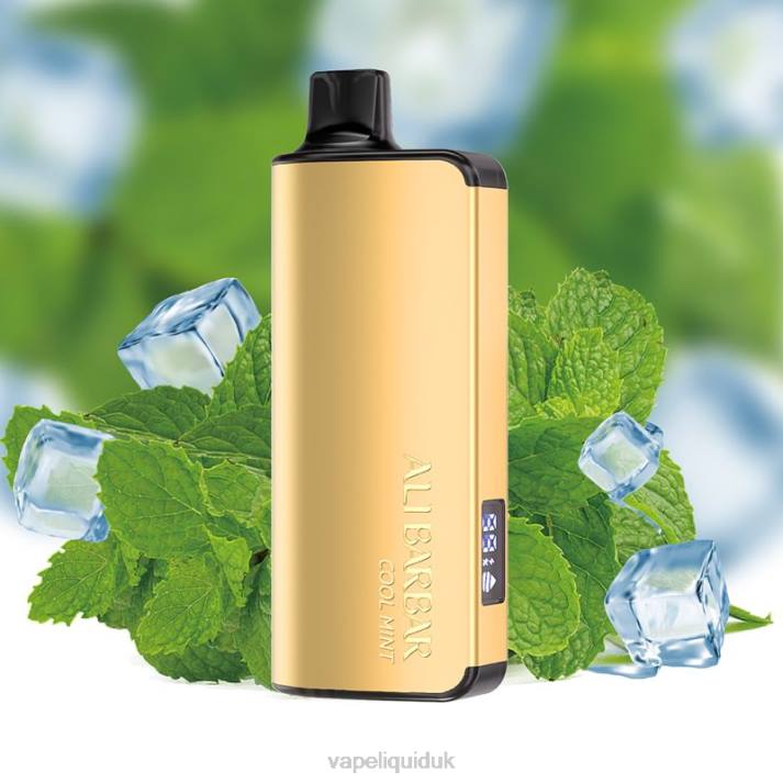 Vape Juice - Alibarbar Ingot 20000 Disposable Vape Cool Mint LJXZ35