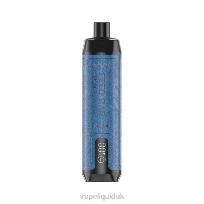 Vape Juice - Vapsolo SHISHA Disposable Vape Berry Ice LJXZ113