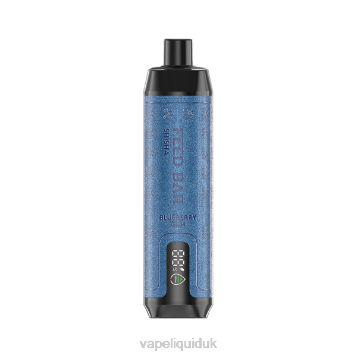 Vape Juice - Vapsolo SHISHA Disposable Vape Blueberry Gum LJXZ116