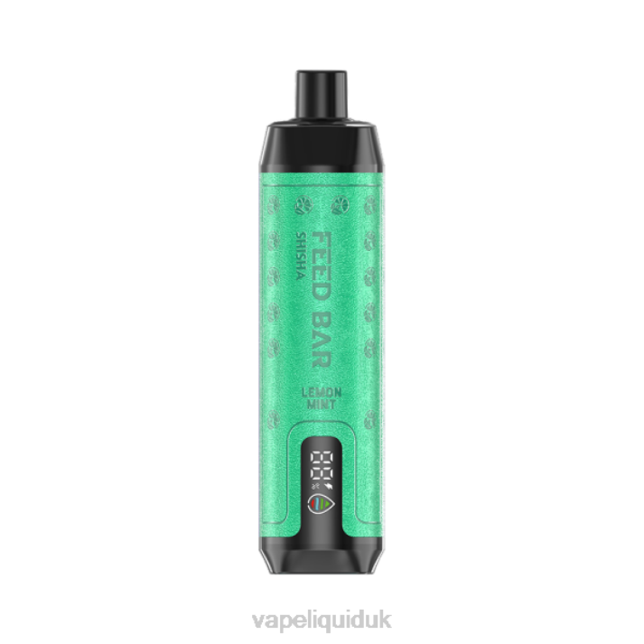 Vape Juice - Vapsolo SHISHA Disposable Vape Lemon Mint LJXZ119