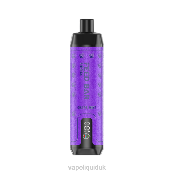Vape UK - Vapsolo SHISHA Disposable Vape Grape Mint LJXZ118