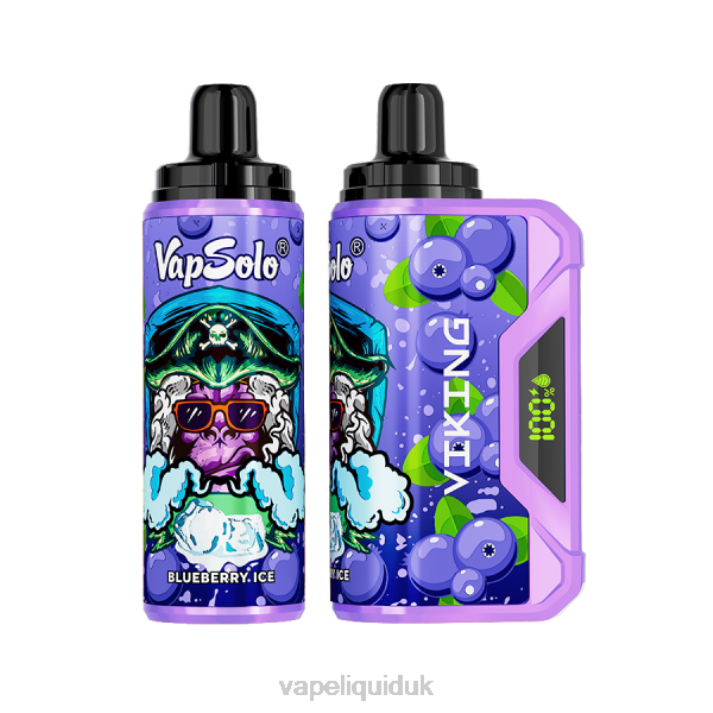 Vape UK - Vapsolo VIKING Disposable Vape Blueberry LJXZ148