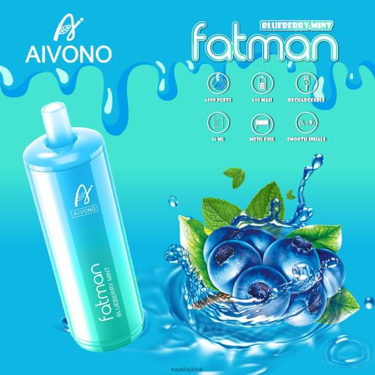Vape Liquid - Aivono FATMAN 6800 Blueberry Mint 00N8Z222