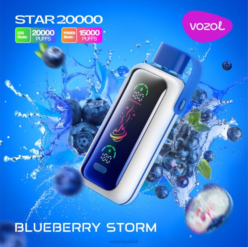 Vape Flavors UK - BLUEBERRY STORM VOZOL STAR 20000 4FFT085