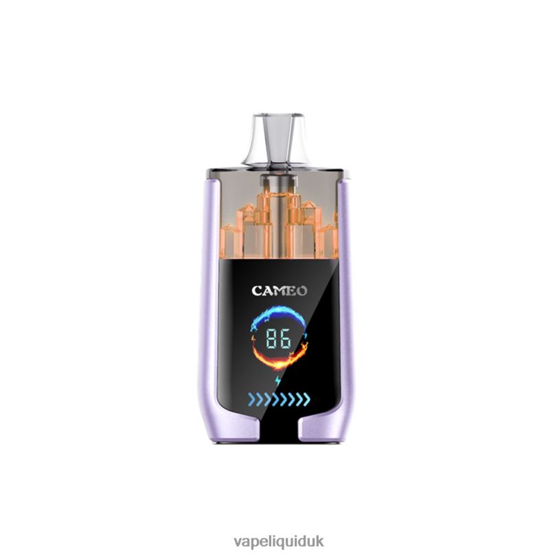 Vape Flavors UK - Grape Ice BLZFP16 LAVIE CAMEO 30000 Puffs