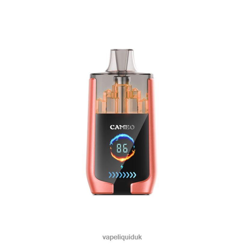 Vape Flavors UK - Strawberry Watermelon BLZFP24 LAVIE CAMEO 30000 Puffs