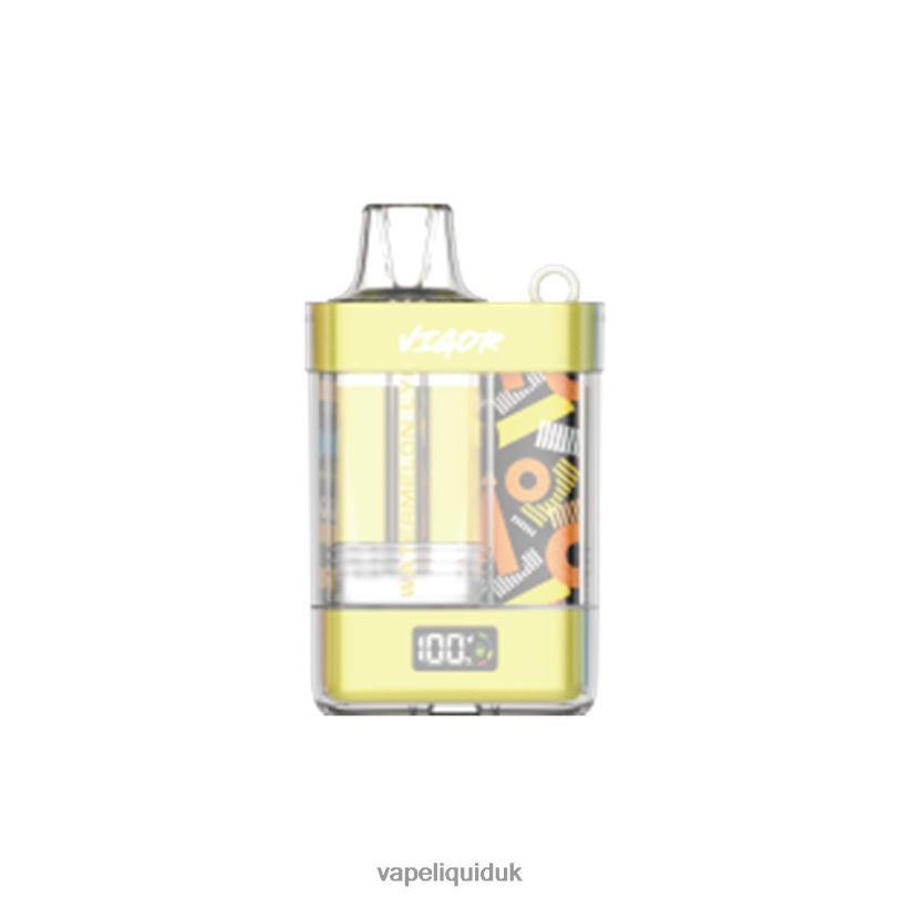 Vape Juice - Watermelon Lychee BLZFP11 LAVIE VIGOR 15000 Puffs
