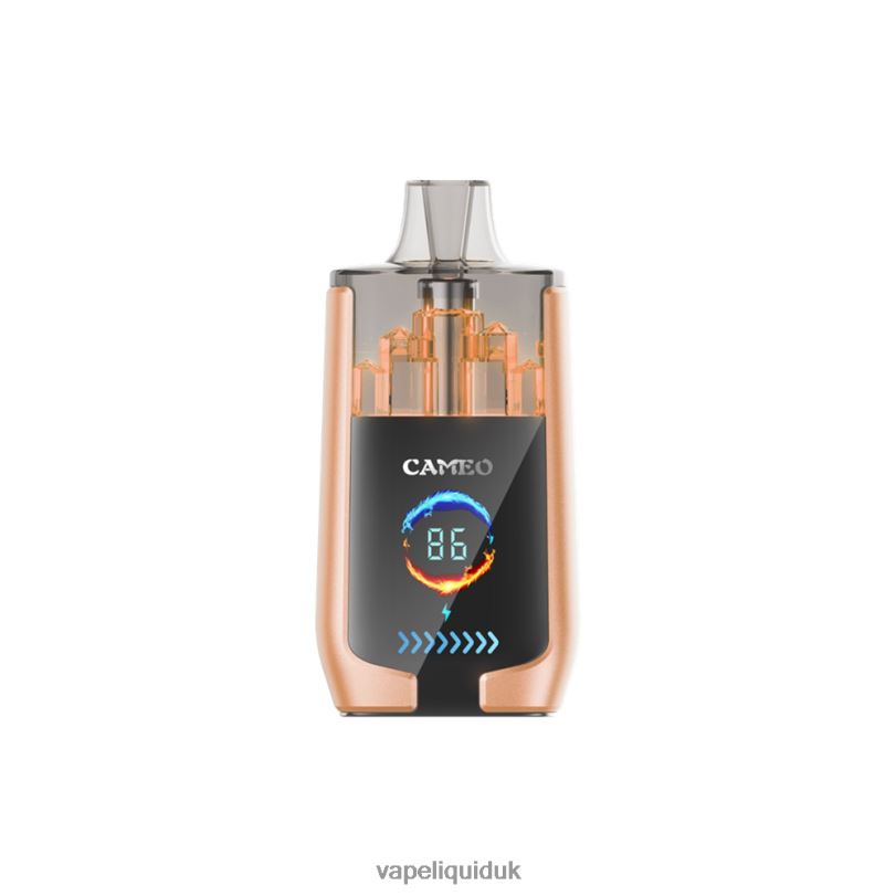 Vape Liquid - Cherry BLZFP22 LAVIE CAMEO 30000 Puffs
