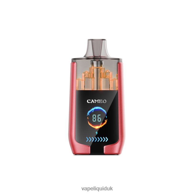 Vape Liquid - Watermelon Ice BLZFP14 LAVIE CAMEO 30000 Puffs